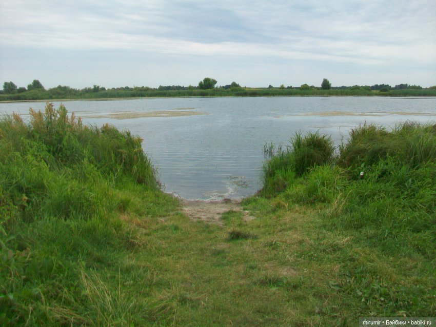 Июльская поездка на дачу — Игровые куклы разных производителей (Разное): редкие бренды (фото 8)