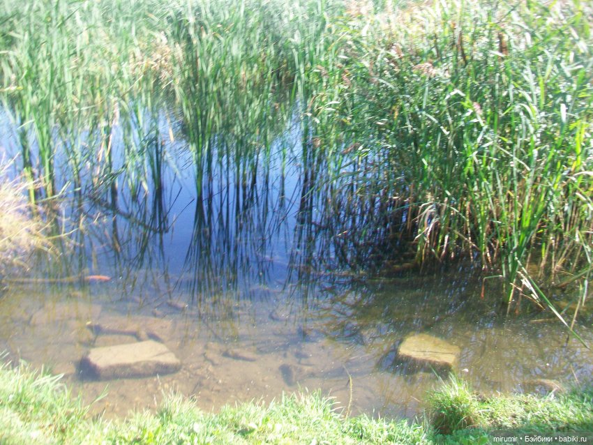 Наше озеро в августе — Игровые куклы разных производителей (Разное): редкие бренды