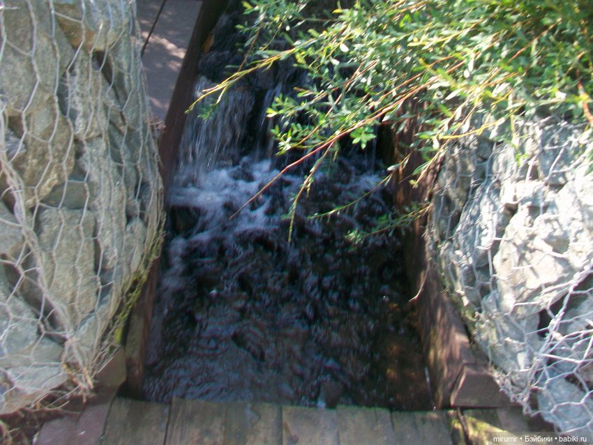 Наше озеро в августе — Игровые куклы разных производителей (Разное): редкие бренды