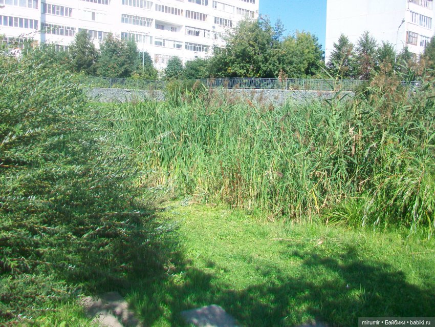 Наше озеро в августе — Игровые куклы разных производителей (Разное): редкие бренды