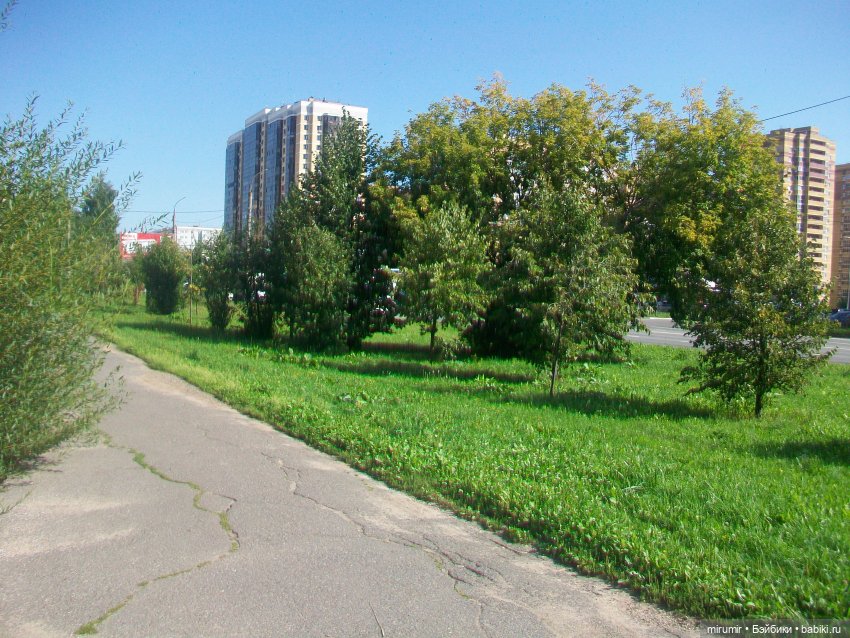 Наше озеро в августе — Игровые куклы разных производителей (Разное): редкие бренды