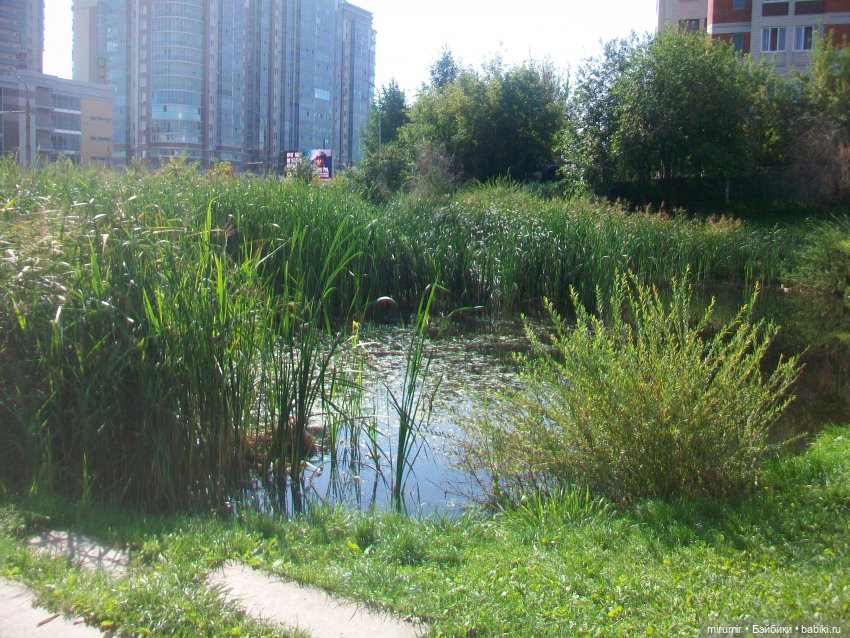 Наше озеро в августе — Игровые куклы разных производителей (Разное): редкие бренды (фото 5)