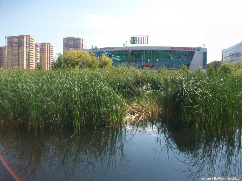 Наше озеро в августе — Игровые куклы разных производителей (Разное): редкие бренды (фото 10)