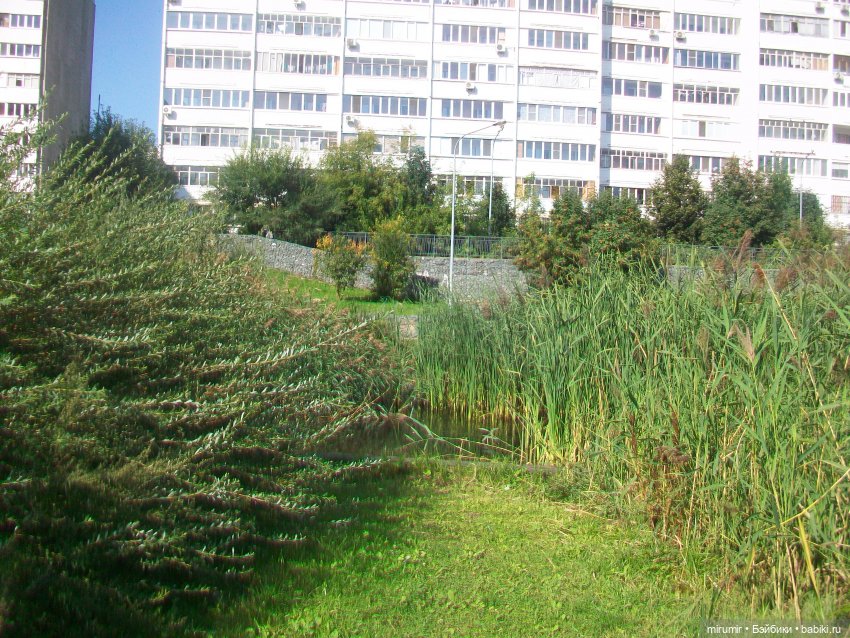 Наше озеро в августе — Игровые куклы разных производителей (Разное): редкие бренды