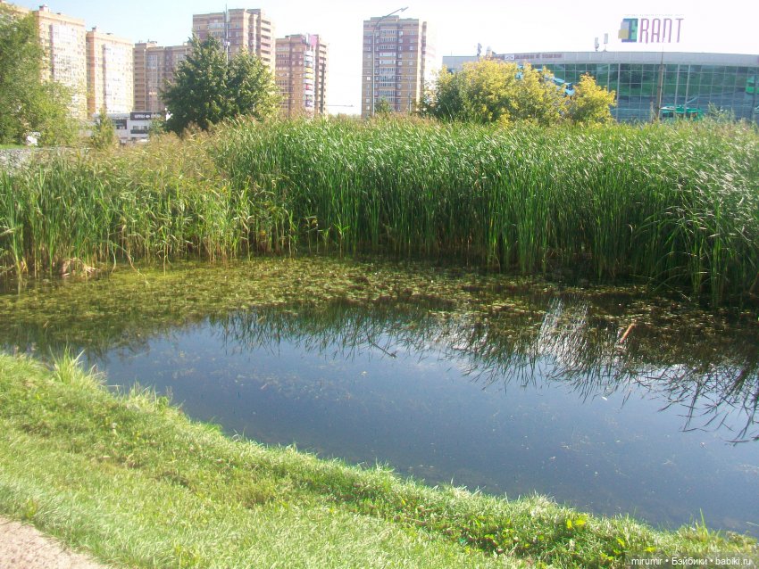 Наше озеро в августе — Игровые куклы разных производителей (Разное): редкие бренды (фото 4)