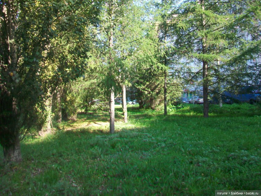 Еще одно место для прогулок