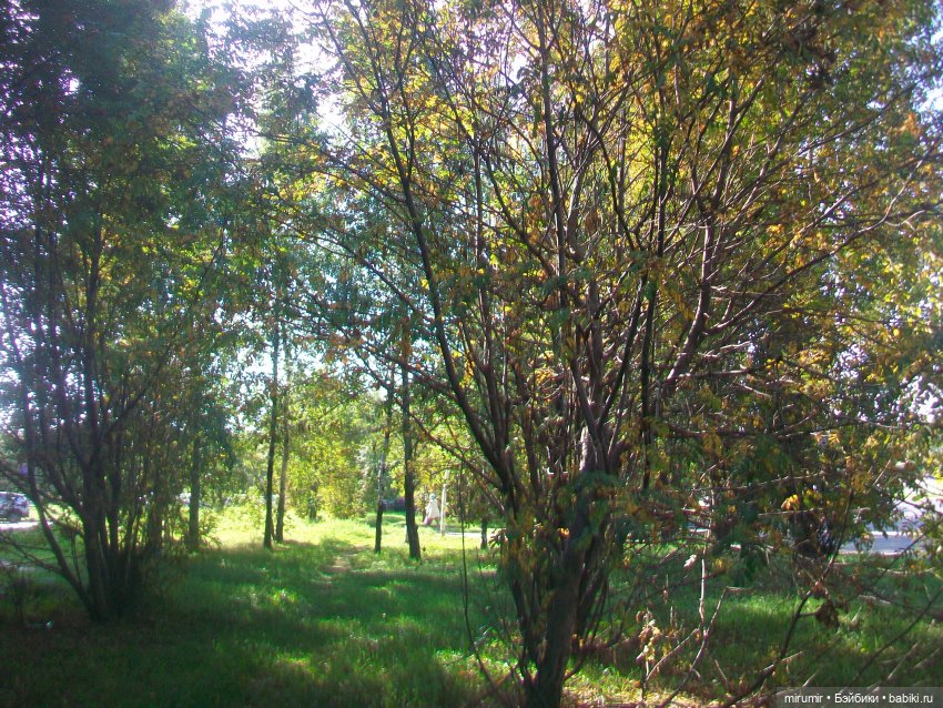 Еще одно место для прогулок