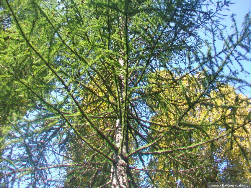 Еще одно место для прогулок