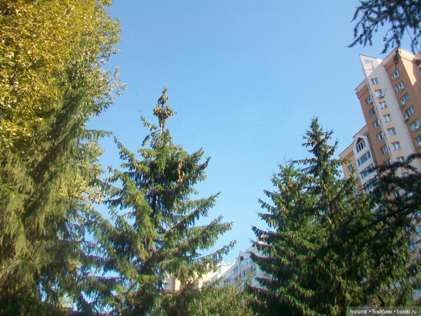 Еще одно место для прогулок