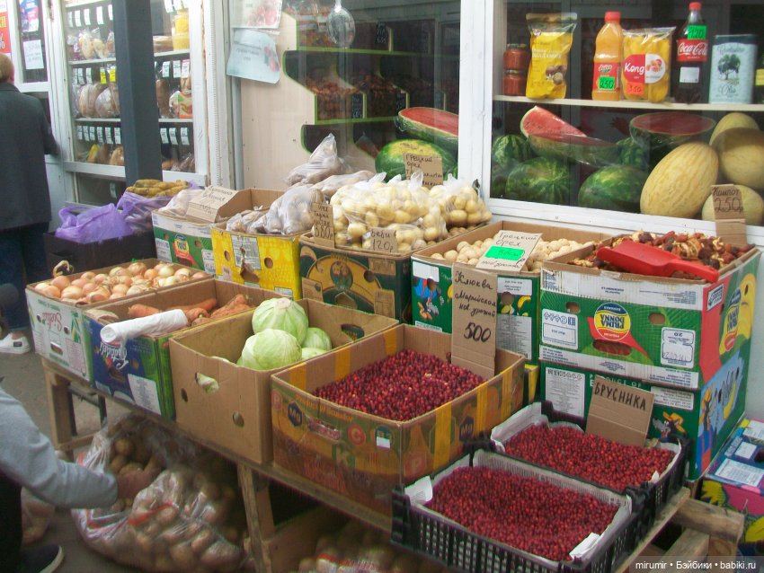 Как мы ходили на рынок, он же базар (фото 3)