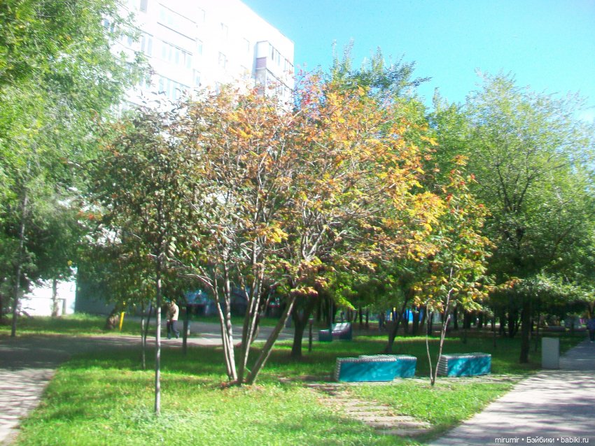 Наш бульвар в сентябре — Туризм и путешествия: фотоотчеты из поездок