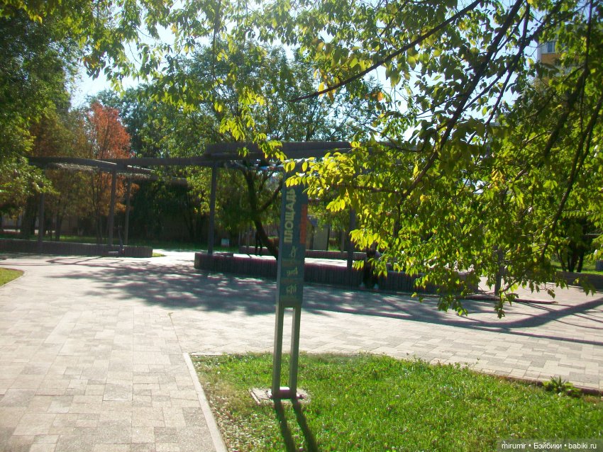 Наш бульвар в сентябре — Туризм и путешествия: фотоотчеты из поездок