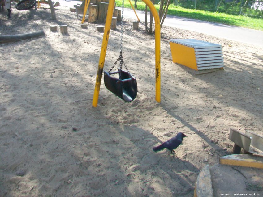 Наш бульвар в сентябре — Туризм и путешествия: фотоотчеты из поездок