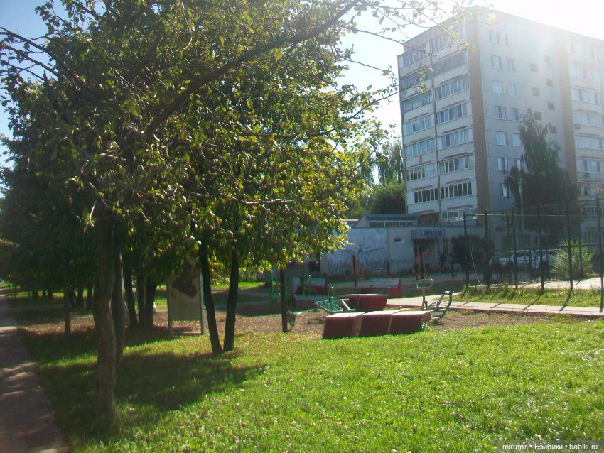 Наш бульвар в сентябре — Туризм и путешествия: фотоотчеты из поездок