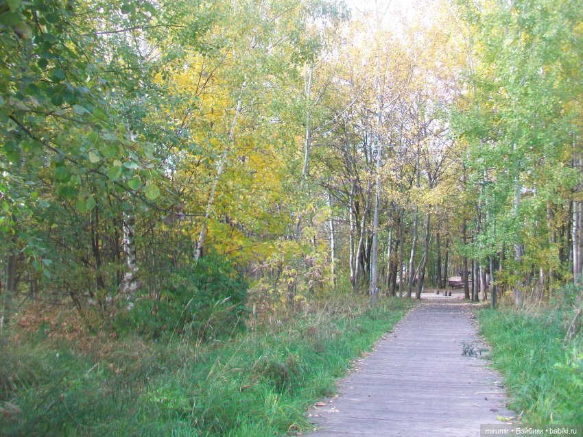 Наш парк в октябре — Игровые куклы разных производителей (Разное): редкие бренды