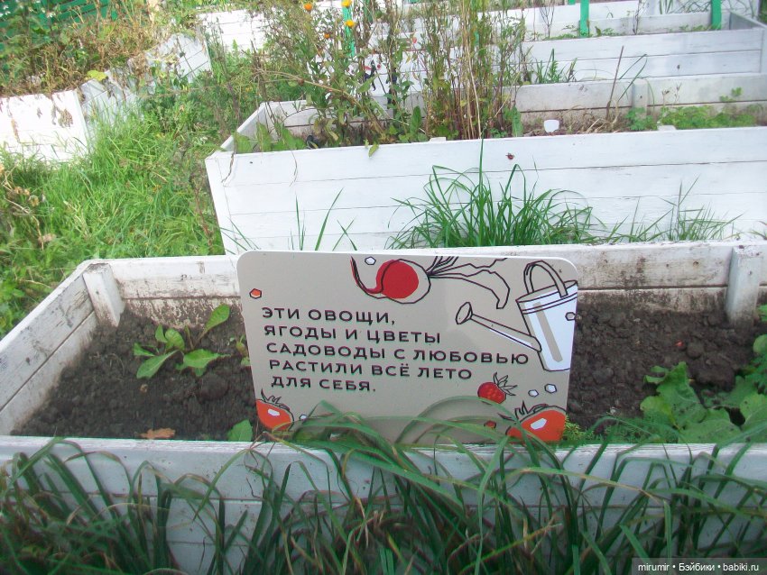 Наш парк в октябре — Игровые куклы разных производителей (Разное): редкие бренды