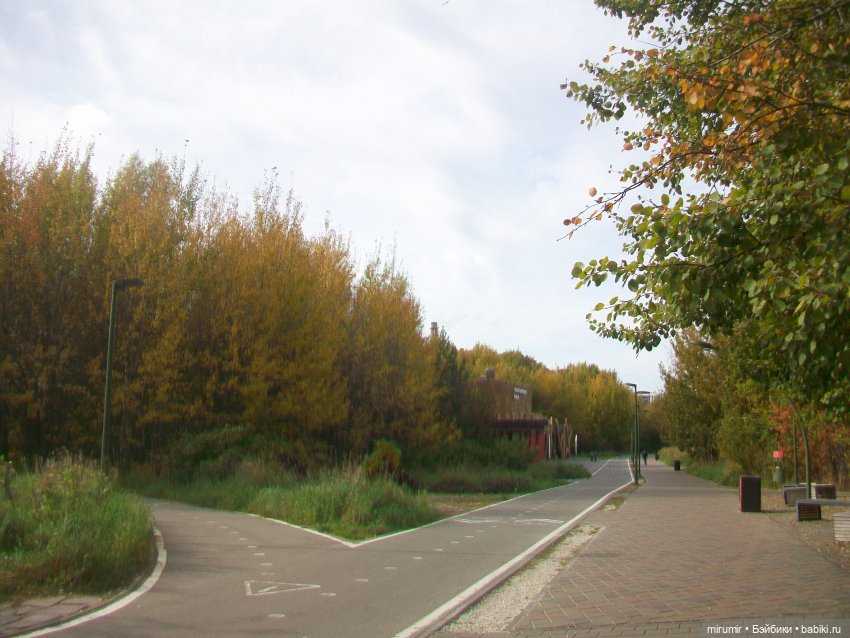 Наш парк в октябре — Игровые куклы разных производителей (Разное): редкие бренды (фото 9)