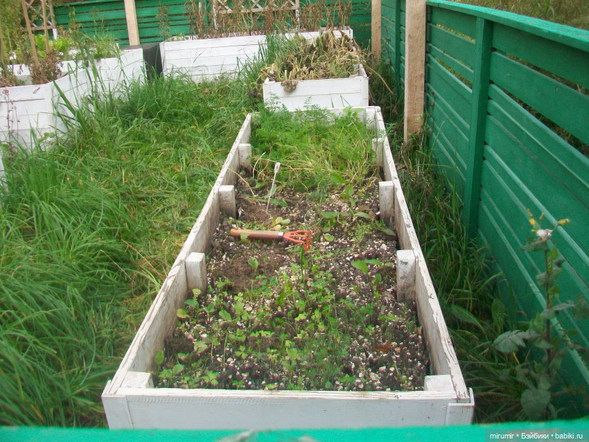 Наш парк в октябре — Игровые куклы разных производителей (Разное): редкие бренды