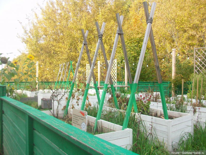 Наш парк в октябре — Игровые куклы разных производителей (Разное): редкие бренды