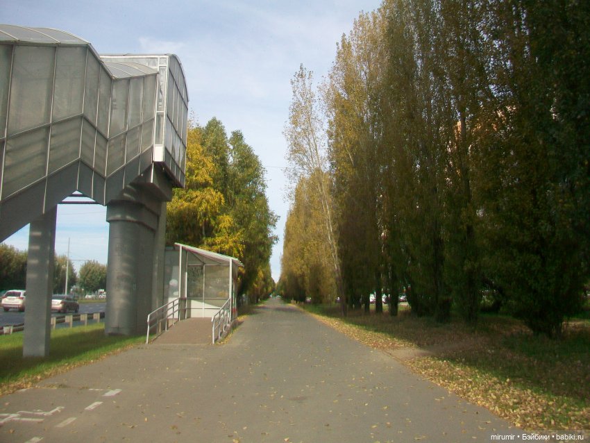 Наш парк в октябре — Игровые куклы разных производителей (Разное): редкие бренды