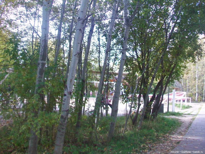 Наш парк в октябре — Игровые куклы разных производителей (Разное): редкие бренды