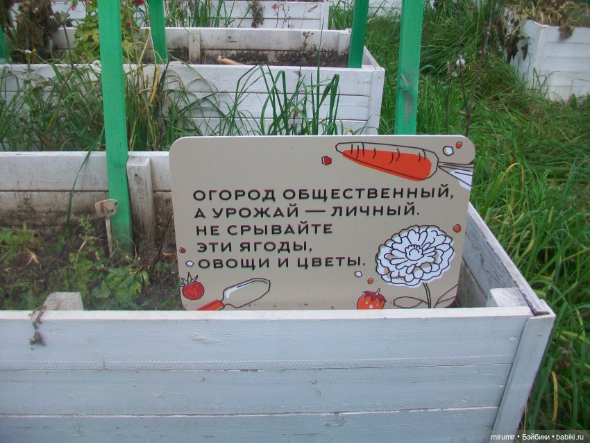 Наш парк в октябре — Игровые куклы разных производителей (Разное): редкие бренды