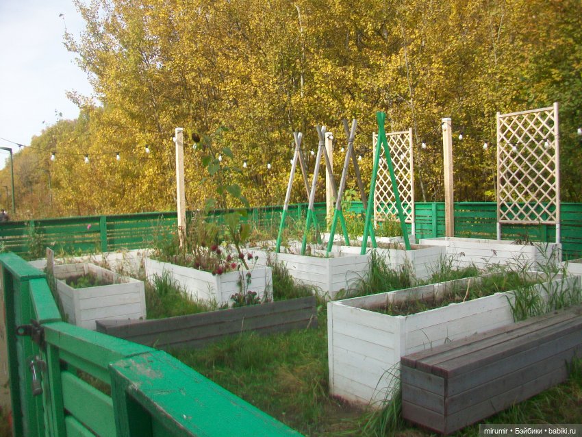 Наш парк в октябре — Игровые куклы разных производителей (Разное): редкие бренды