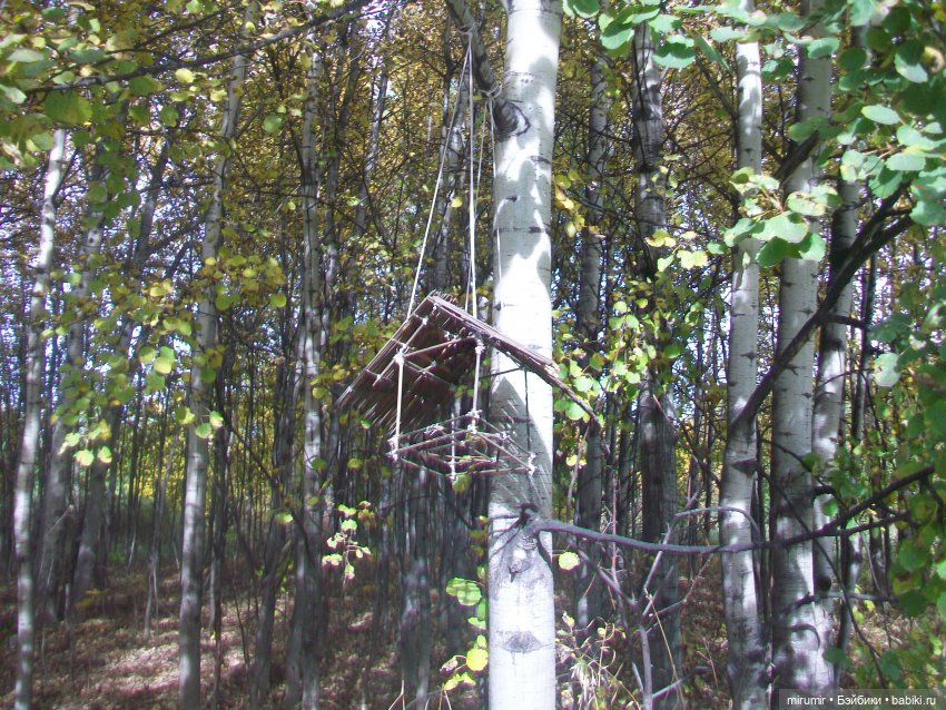 Наш парк в октябре — Игровые куклы разных производителей (Разное): редкие бренды