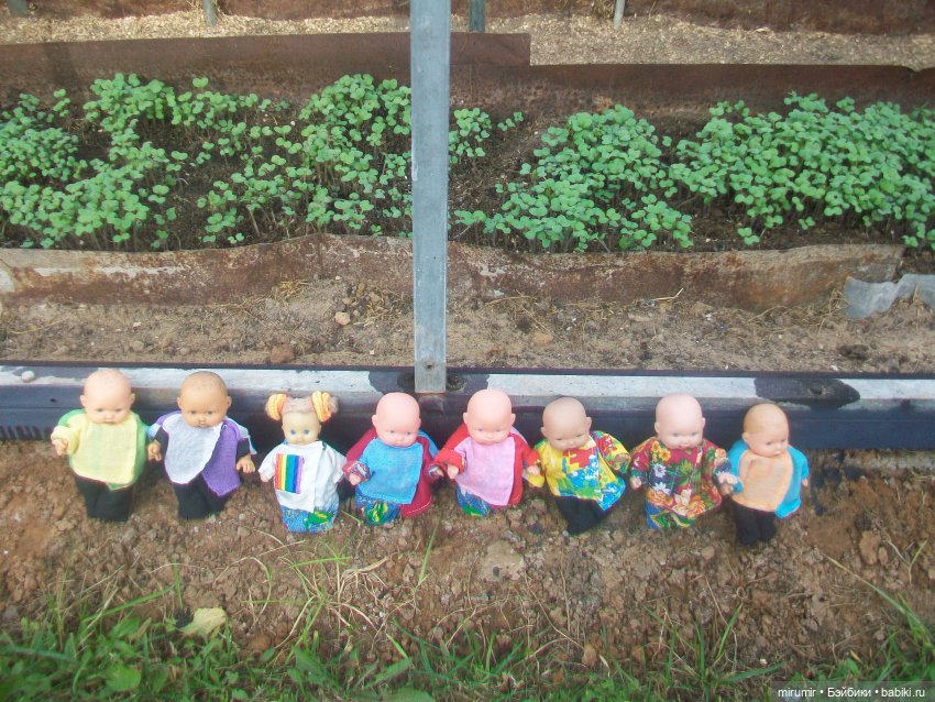 Октябрьская поездка на дачу