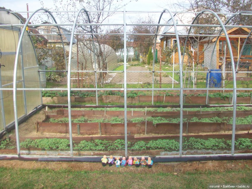 Октябрьская поездка на дачу