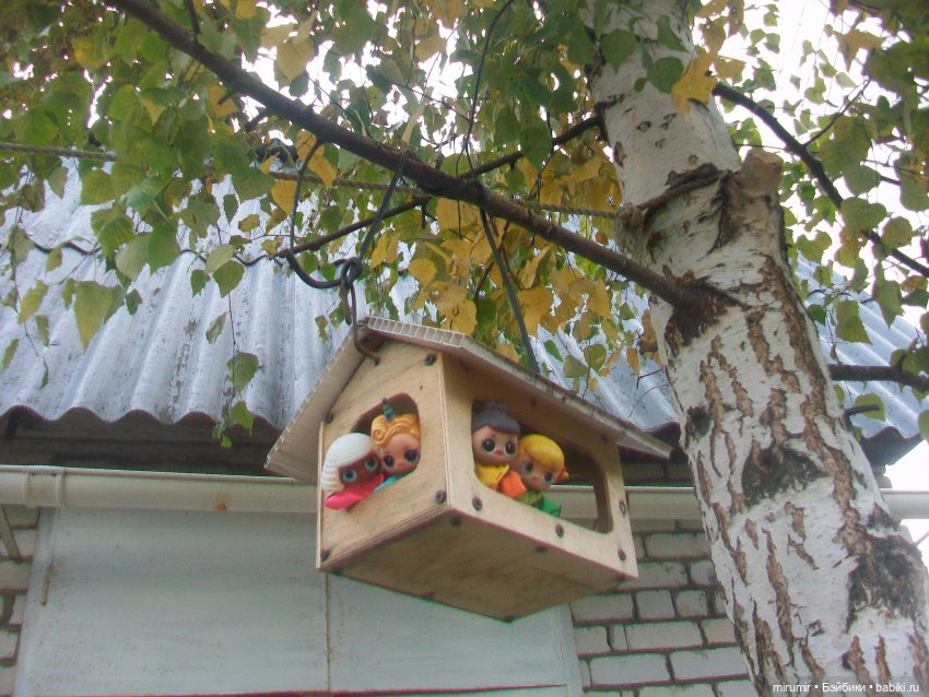 Октябрьская поездка на дачу (фото 3)