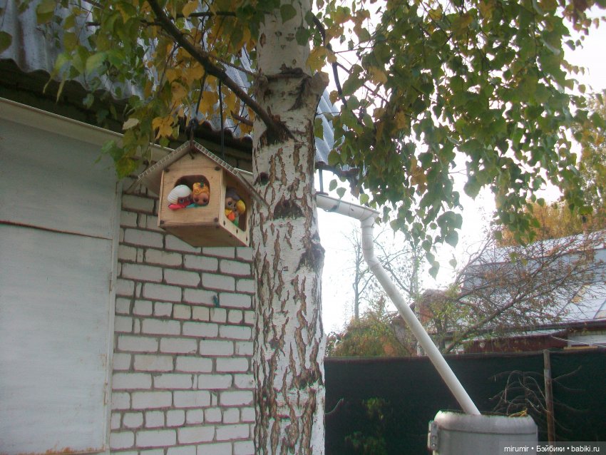 Октябрьская поездка на дачу (фото 2)