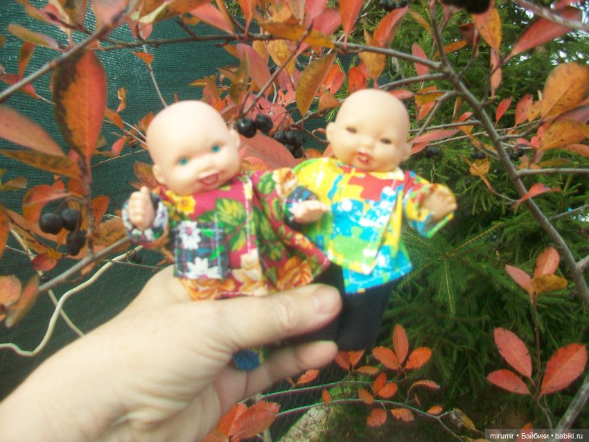 Октябрьская поездка на дачу (фото 6)