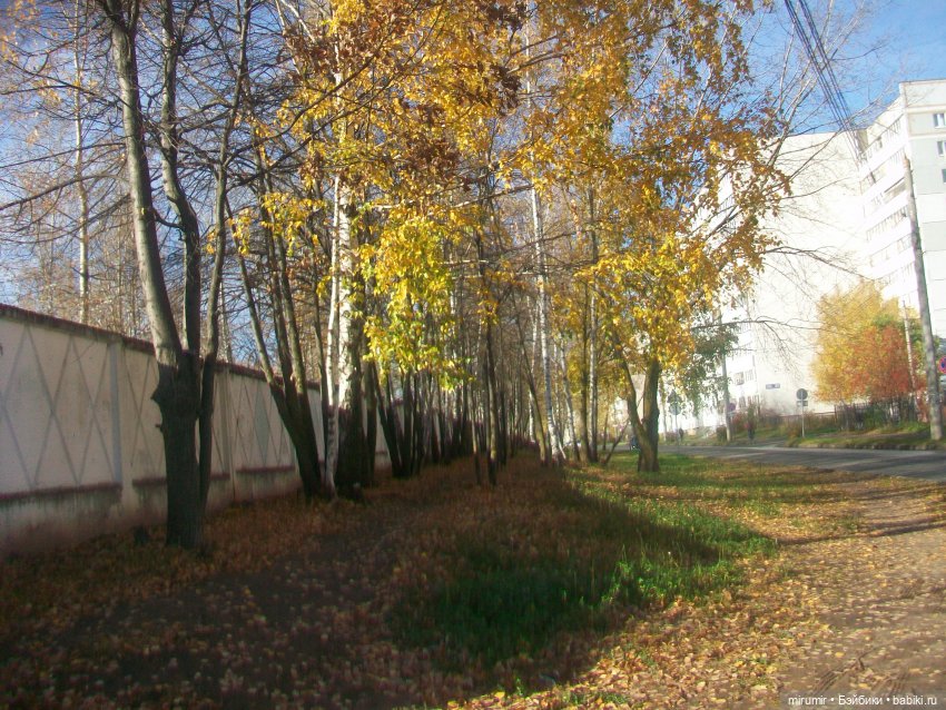 Гуляем в обновках по нашей улице и рядом с ней (фото 7)