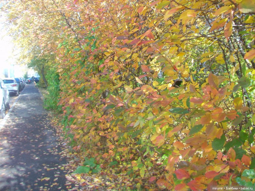 Гуляем в обновках по нашей улице и рядом с ней