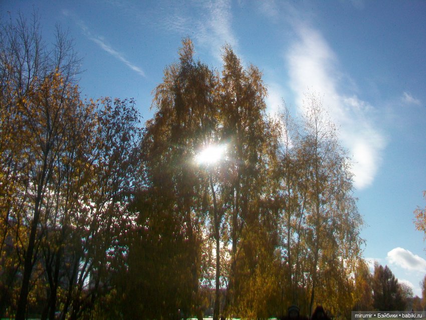 Гуляем в обновках по нашей улице и рядом с ней (фото 10)