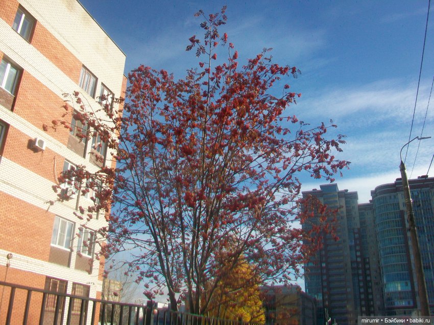 Гуляем в обновках по нашей улице и рядом с ней (фото 5)