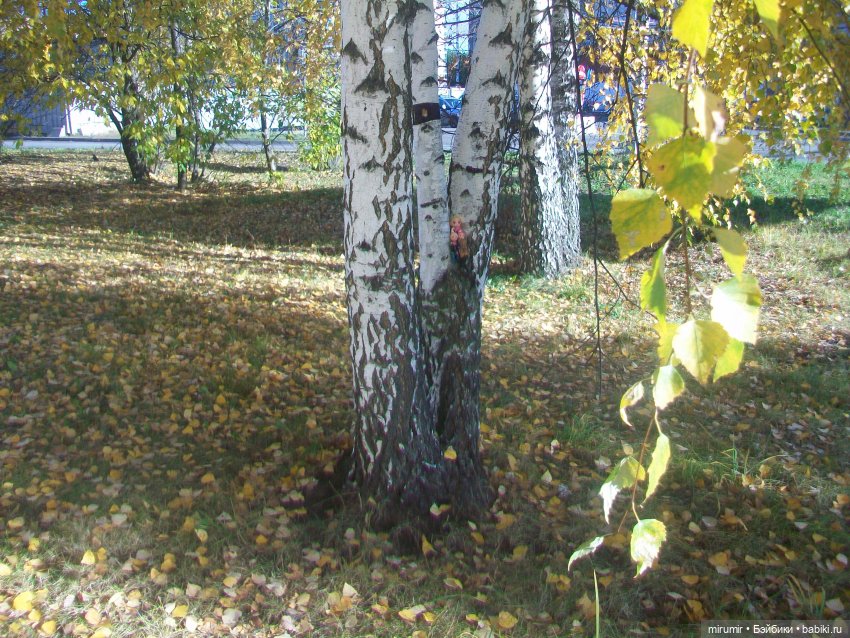 Гуляем в обновках по нашей улице и рядом с ней