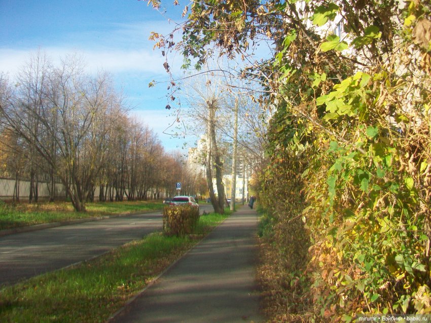 Гуляем в обновках по нашей улице и рядом с ней (фото 4)