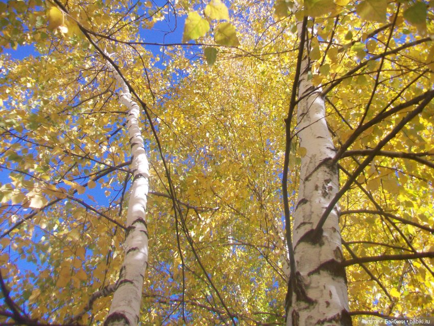 Гуляем в обновках по нашей улице и рядом с ней