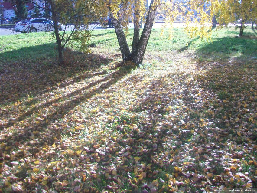 Гуляем в обновках по нашей улице и рядом с ней