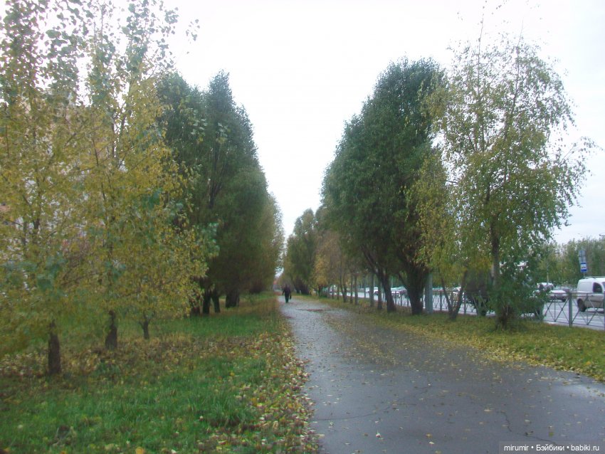 В Ашане уже появились новогодние товары