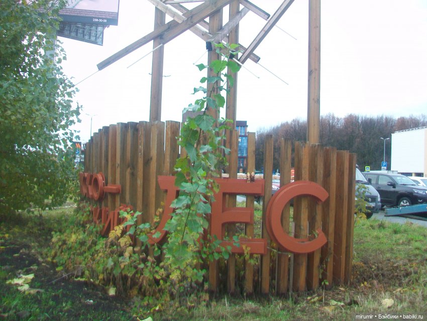 В Ашане уже появились новогодние товары (фото 4)