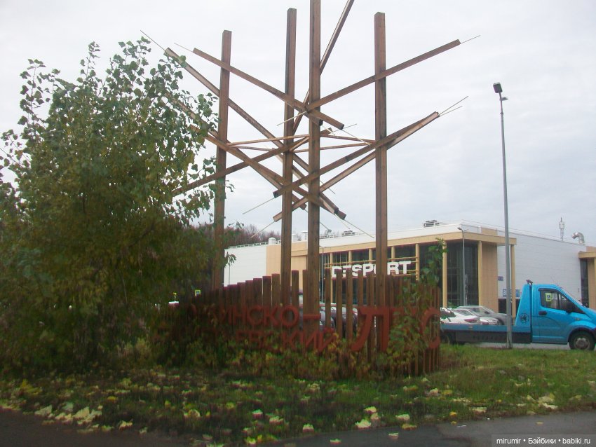 В Ашане уже появились новогодние товары (фото 3)