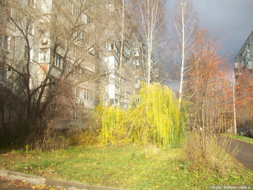 Прогулки продолжаются — Игровые куклы разных производителей (Разное): редкие бренды