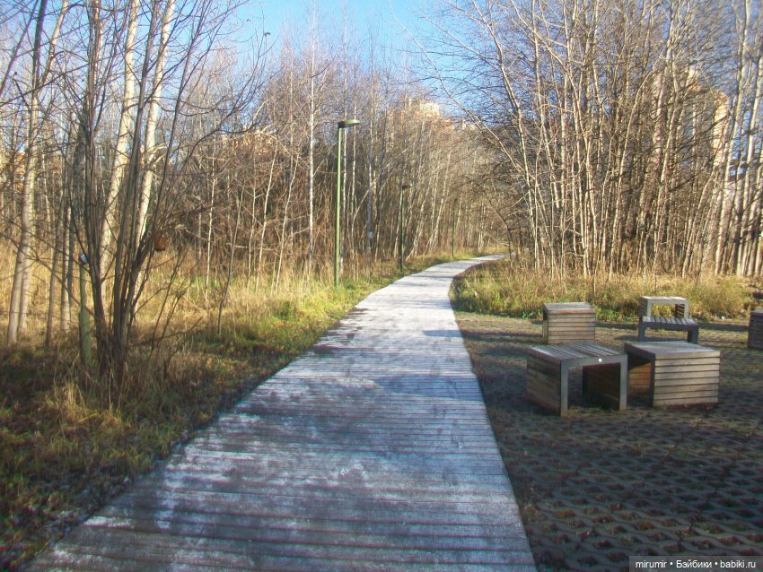 Наш парк в ноябре — Игровые куклы разных производителей (Разное): редкие бренды