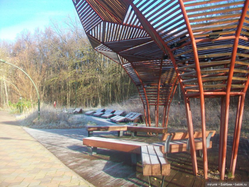 Наш парк в ноябре — Игровые куклы разных производителей (Разное): редкие бренды