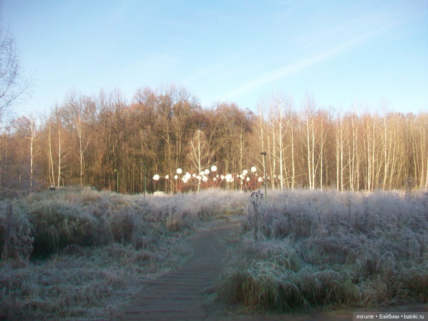Наш парк в ноябре — Игровые куклы разных производителей (Разное): редкие бренды (фото 6)