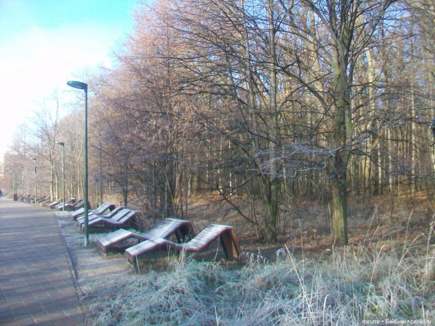 Наш парк в ноябре — Игровые куклы разных производителей (Разное): редкие бренды (фото 9)