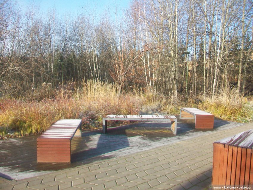 Наш парк в ноябре — Игровые куклы разных производителей (Разное): редкие бренды (фото 3)